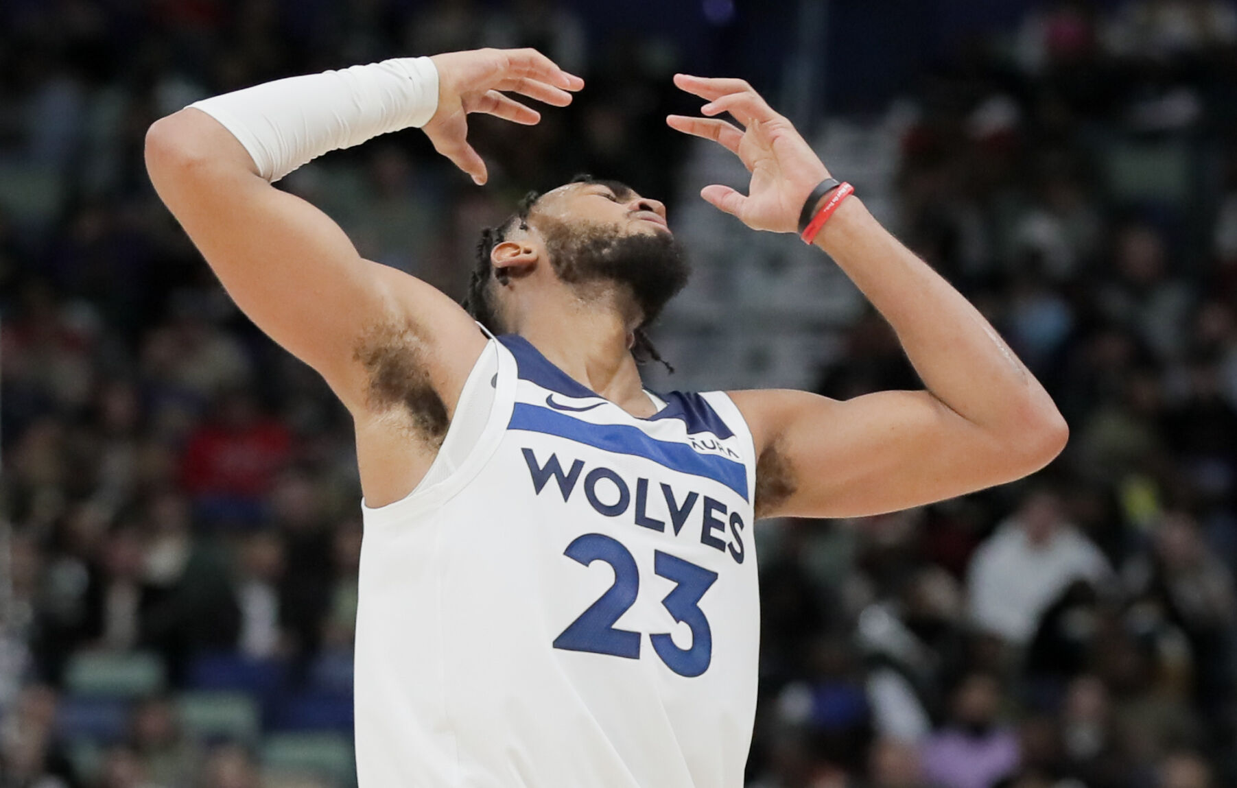 NO.pelicanstimberwolves.121223.1826.jpg